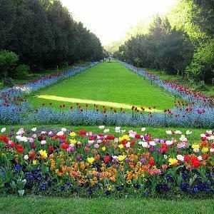 Cișmigiu Park Bucharest