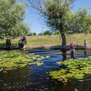 The Danube Delta