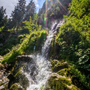 Horses Waterfall